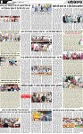 Page 8 p-page-001